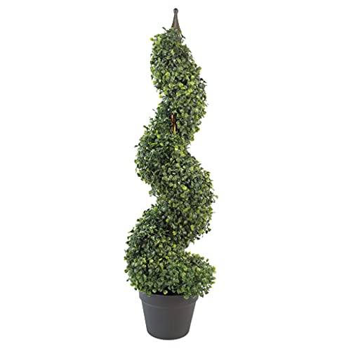 Leaf Design UK Buxus Buchsbaum-Spiralbäume