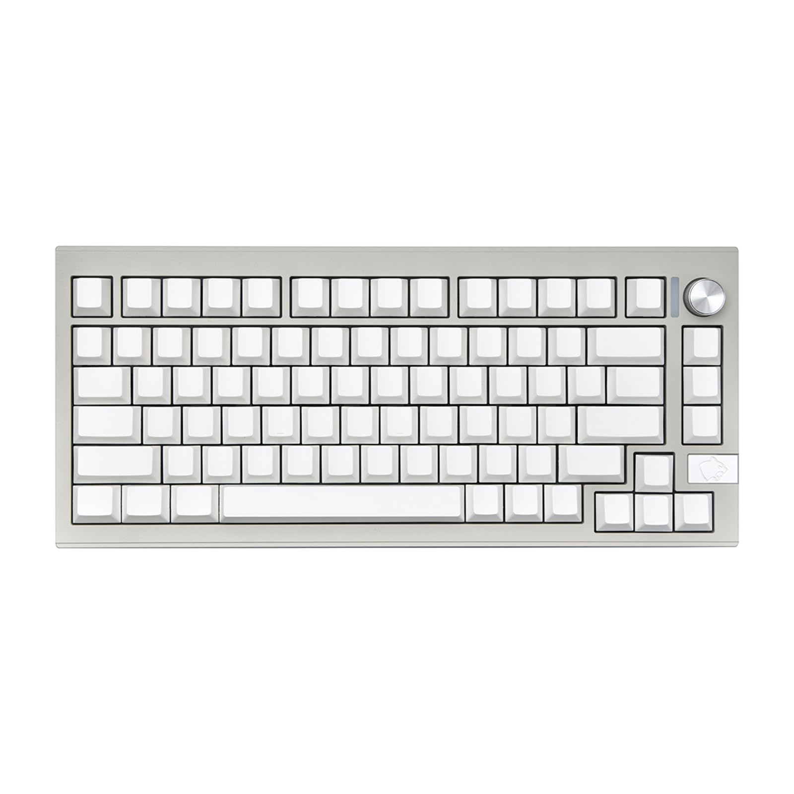 PLCPDM Minimalistische Leere Tastenkappen 137KeysCherryheight Keycaps DyeSUB MXSwitches Mechinery Tastenkappen Ersatz