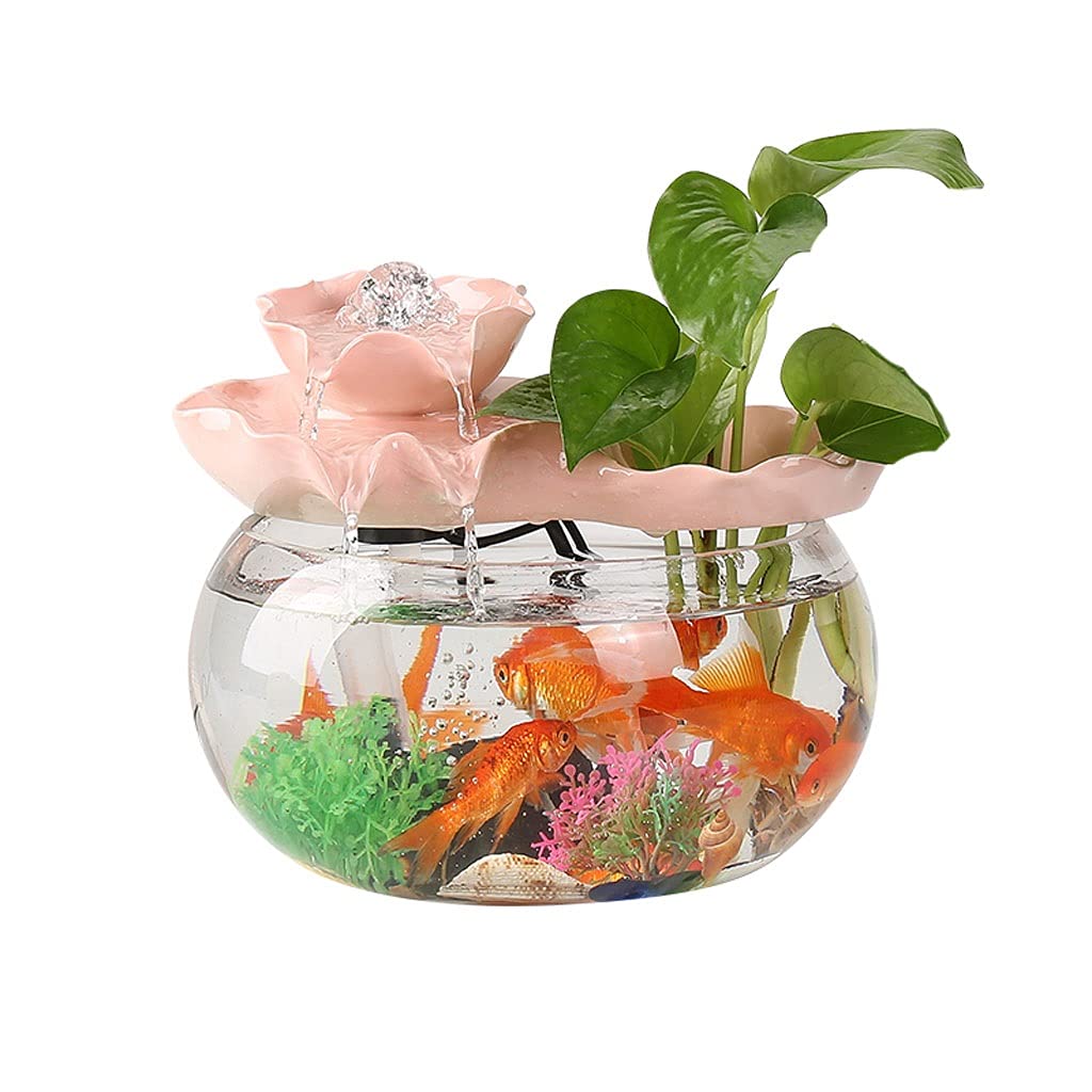 Kleines Aquarium,Starter Aquarium, Kreatives Zirkulierendes Wasser Aquarium Glasfenster Desktop Kleines Haushaltsgold Aquarium Landschaftsgestaltung Dekoration Ornamente Aquarium Tank(9.45IN)