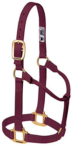 Weaver Leather Original Non-Adjustable Nylon Horse Halter, Average, Burgundy