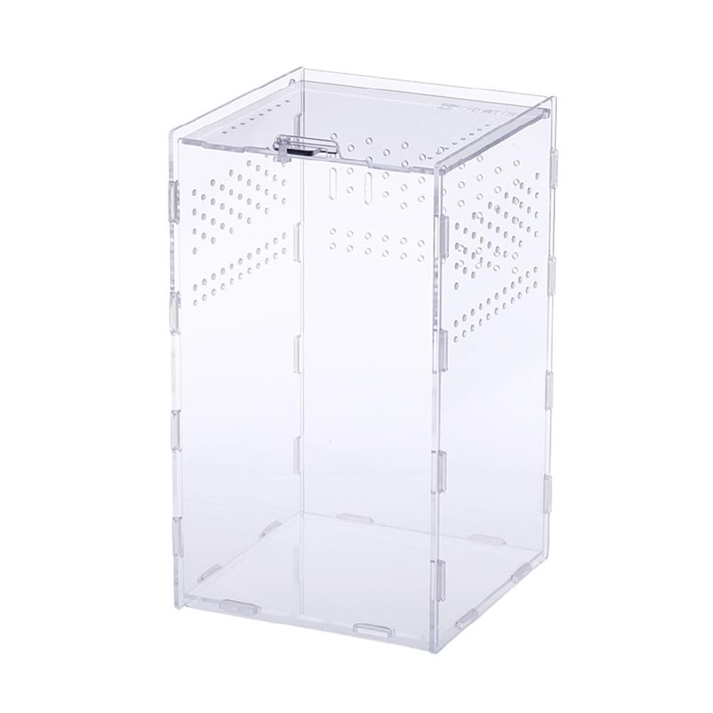 Futterbox Transparent Behälter Acryl Terrarium Für Spinnen Klein Für Box Einfach Zu Asse Acryl Habitat