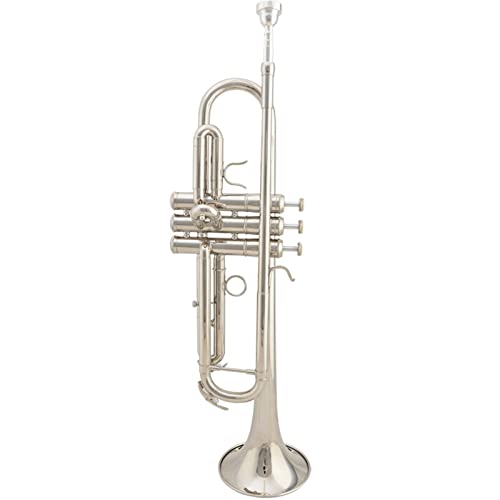 Trompeten Windinstrument Lackiert Gold B Flach Klassisch Lackiertes Gold Trompete aus Messing (Color : Silver)