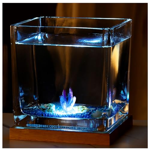 Kleiner Tank Aquarium, tragbare Fischschale Tank, Quadratisches Aquarium aus Glas mit USB-Basis for warmes und kühles Licht, for Bettas, Guppys, Garnelen, Goldfische