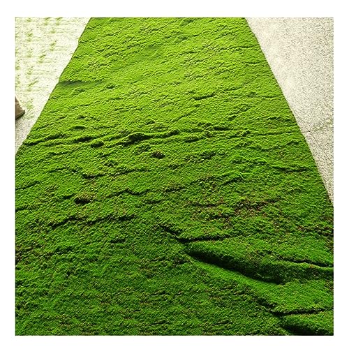 ALFAAL Kunstrasen Moos Künstlicher Moosflechtenrasen Artificial Grass Table Runner Dekorative Schaufenster Auf Dem Gartenplatz (Color : B, Size : 100x100cm/39.37x39.37in)