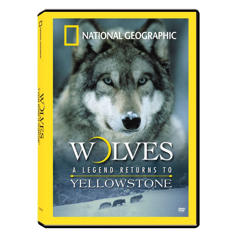 Wolves: A Legend Returns to Yellowstone [Import USA Zone 1]