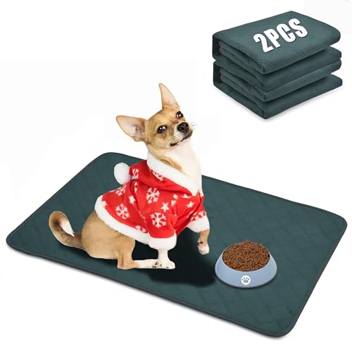 Waschbare Pee Pads für Hunde und Katzen, Haustier-Welpen-Trainingspads, wasserdicht, wiederverwendbar, saugfähig, groß, mittel, klein, rutschfest, moderne Wurfunterlage