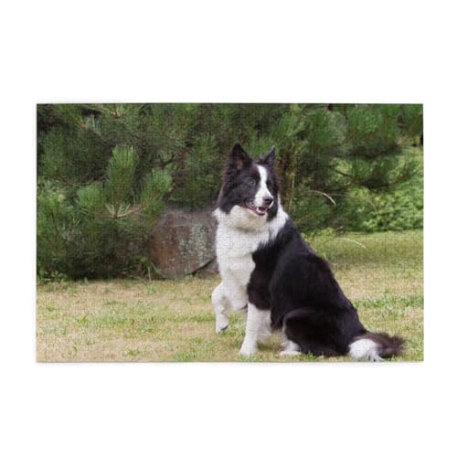 Schlechter Hund Border Collie, Puzzles 1000 Teile Holzpuzzle Spielzeug Familienspiel Wanddekoration