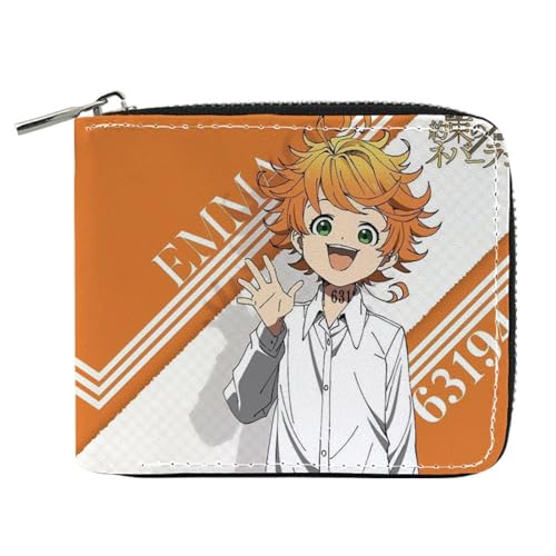 RYNDEX The Promis-ed Neverla-nd Kartenetui Anime, Leder Geldbörse mit Reißverschluss-Design, Geldbörse Geldbeutel Portemonnaie für Geschenkidee(Color:Multicolor 1)