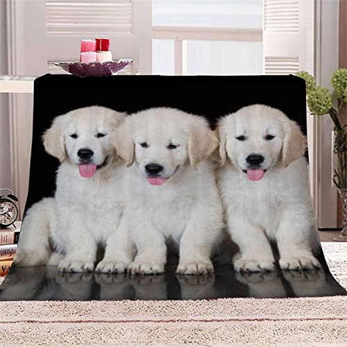 Kuscheldecke Erwachsene 3D Golden Retriever Flanelldecke Sherpa Fleecedecke Motiv Decke 150x200 cm Mädchen Jungen Haustier Welpe Weiche Microfaser Warmer Wohndecke Bettüberwurf Sofatdecke