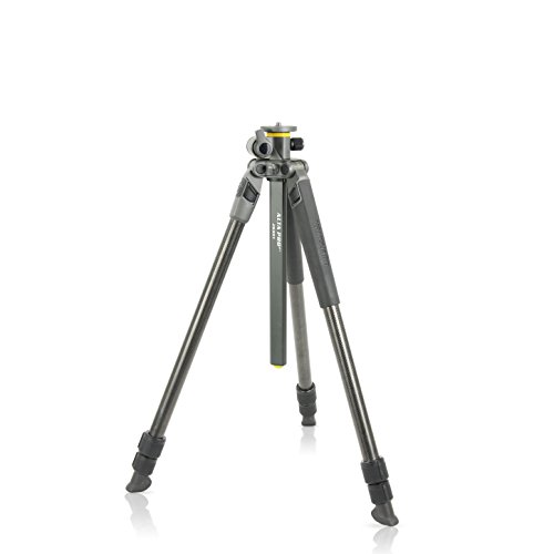 Vanguard alta pro2+ 263agh