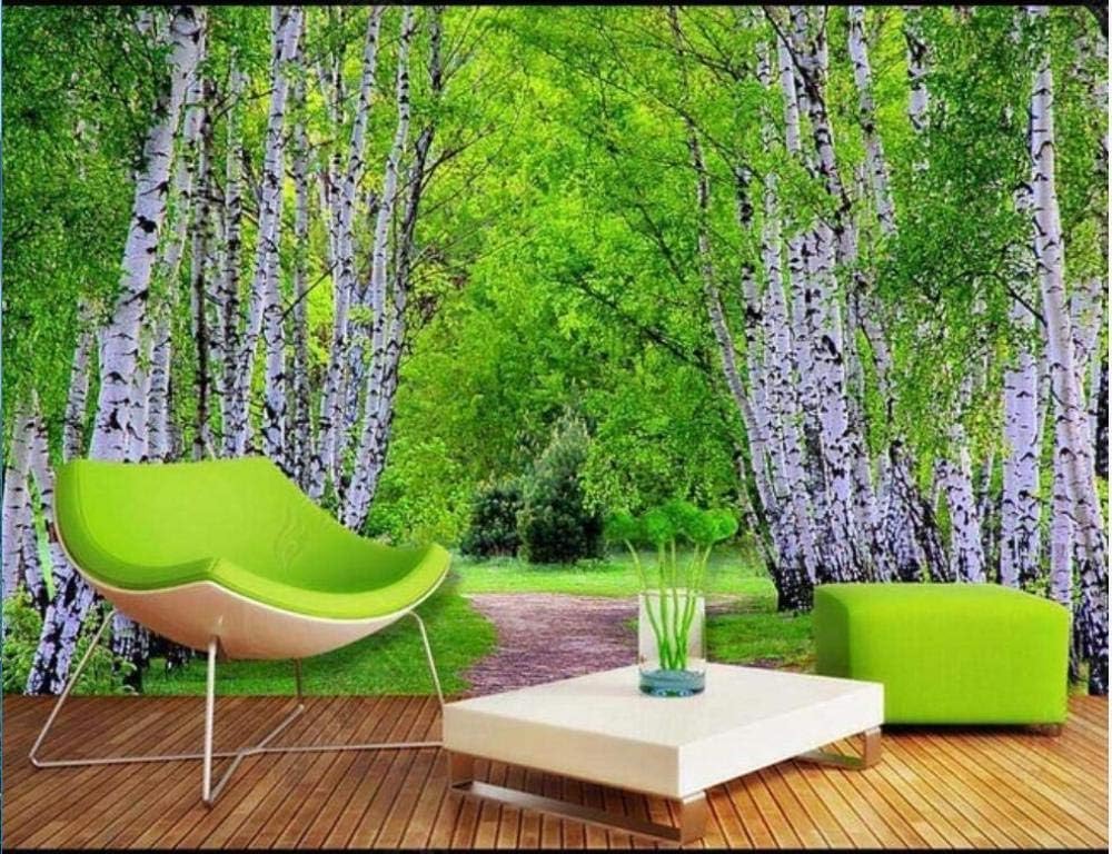 Grüner Wald Allee Birkenbäume Natur Landschaft 3D Tapete Poster Restaurant Schlafzimmer Wohnzimmer Sofa TV Dekorative Wand-300cm×210cm