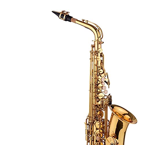 EB Altsaxophon Messing Body Shell Keys Holzwind Instrument Tragetasche Handschuhe Stoffbürste Sax Hals-Träger