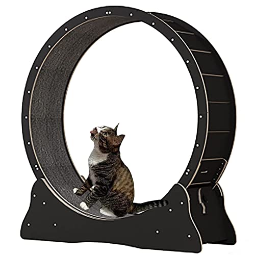 Katzenrad, Laufband für Katzen, Laufrad, Niedliche Katzenmöbel, Haustierspielzeug, Katzenspielzeug, Gewichtsverlustgerät für Katzen,Black-S