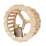 Takluu Sittich-Übungsrad, Papageien-Übungsrad, Spinner-Laufräder für Bird, Übungsräder aus Holz für Papageien, Sittiche, Sittiche, Nymphensittiche, Wellensittiche, zum Kauen des Schnabels