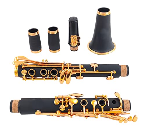 Klarinetten BB Clarinet 17 Key SIB Klarnet/ABS Körpermaterial-Klarinette. Standard Klarinette (Color : E111)