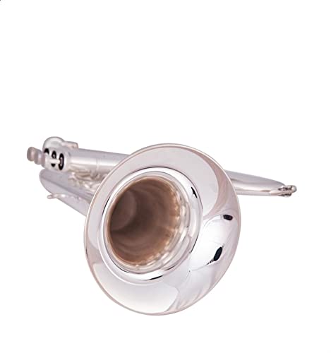 Trompete Messing Professionelle Leistung Von Drei Schlüssigem Trompeteninstrument In Der Wohnung (Color : Silver plated)