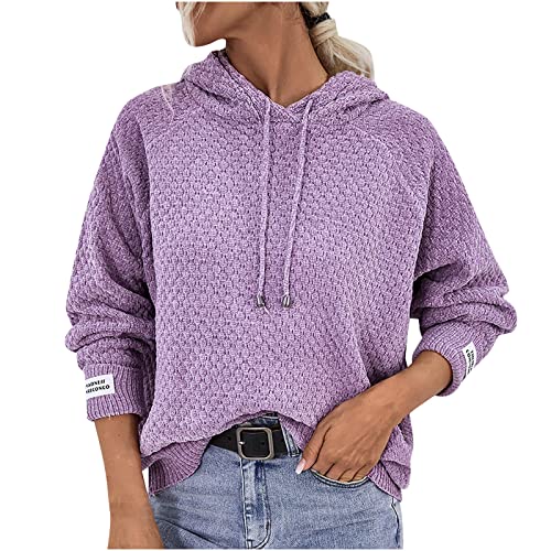 WANGTIANXUE Damen Chenille Pullover Hoodie Elegant Langarmshirt Hoodies Pulli Oberteile Einfarbig Sport Top Sweatjacke Locker Kordelzug Oberteil Freizeit Hemd Herbstpullover Hoody mit Kapuze