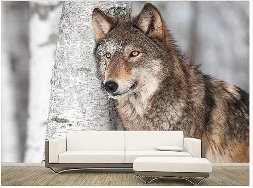 Birke Tier Wolf 3D Tapete Poster Restaurant Schlafzimmer Wohnzimmer Sofa TV Dekorative Wand-430cm×300cm