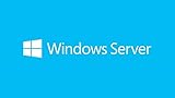 Microsoft COEM SB WIN SERVER CAL 2019 D