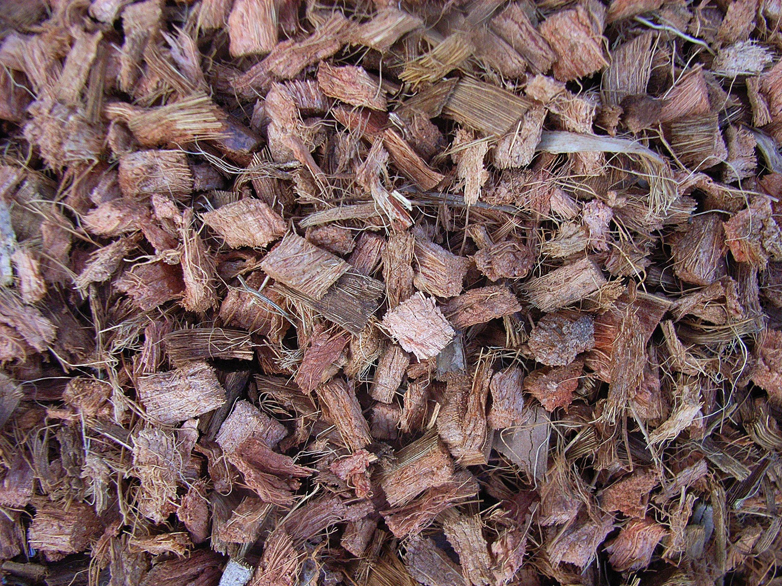 Mulch Chips aus 100 % Kokos, grob, 50 Liter, (EUR 0,59/Liter), Kokoschips, Einstreu geeignet als Unkrautschutz, Winterschutz, Pflanzenschutz, Schneckenschutz und Düngemittel, 100% biologisch abbaubar