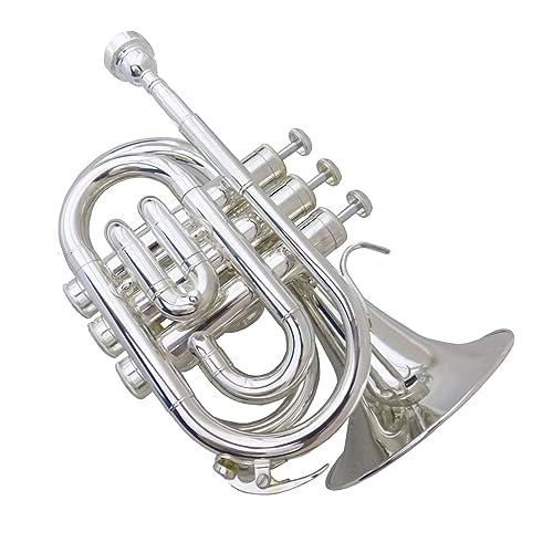 Blechblasinstrumente Trompete Trompeten Bb Taschentrompete Horn Versilbert Mit Koffer Und Mundstück Musikinstrumente Professionell