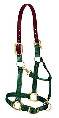 Weaver verstellbares Halfter für Kinn und Hals, Leder, Hunter Green, Small Horse