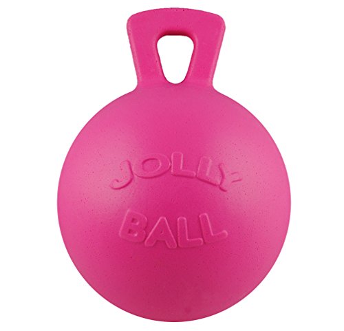 Jolly Ball Horsemen 's Pride 25,4 cm Pferd Bubble Gum Duft