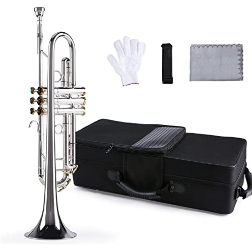 Präzises BB Trompete Messing Materialoberfläche Schöne Shell Knöpfe Windinstrument Mit 5C Mundstück Tragetasche Handschuh