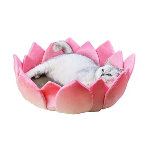 Katzenkratzspielzeug LotusShape Kratzbrett Kratzspielzeug Kätzchen Kratzbett Spielzeug Möbelschutz Haustier Favor Geschenk Katze Kratzpad Katzenbett Katzenkratzer