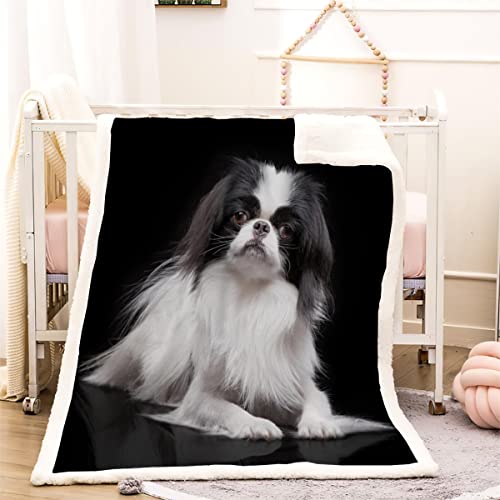 3D Japanischer Chin-Hund Kuscheldecke 150x200cm Haustier Hund Flauschige Sherpa Decke Microfaser Warm Weich Fleecedecke Wohndecke Dicke Flanelldecke Sofadecke Couchdecke Kinder Erwachsene Winter