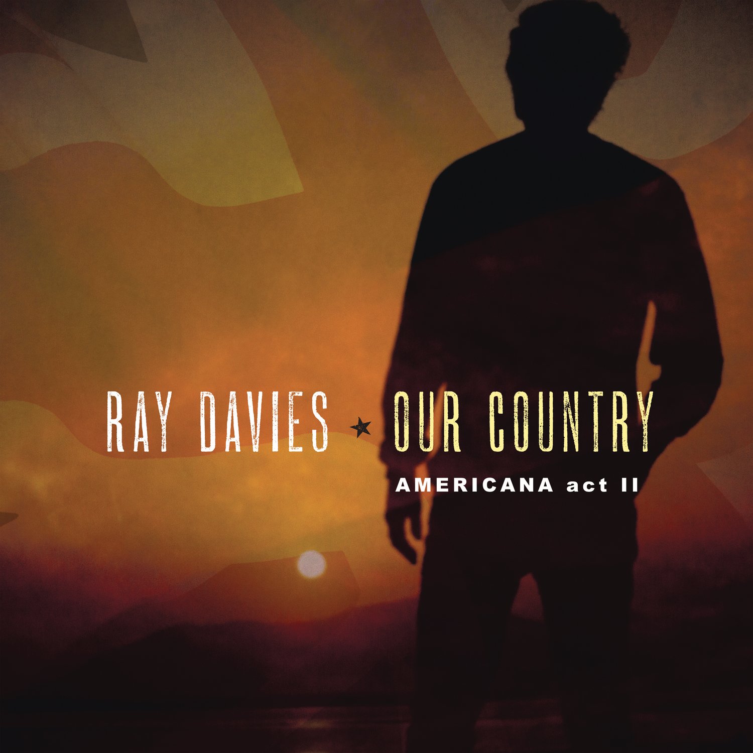 Our Country: Americana Act 2 [Vinyl LP]