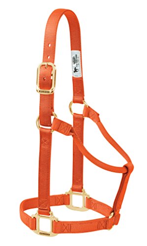 Weaver Leather Original Non-Adjustable Nylon Horse Halter, Large, Orange