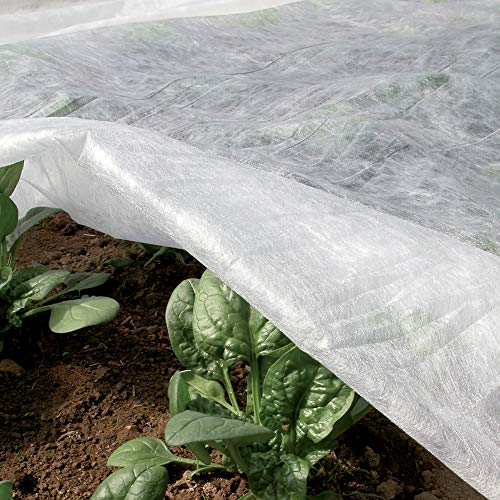 Tenax Ortoclima Plus Kälteschutzvlies 4,00x250 m Weiß, Winterfrostschutzvlies für Pflanzen und Kulturen, aus Vliesstoff 30 g/m², schützt Pflanzen, Blumen und Gemüse vor Kälte, Frost und Wind