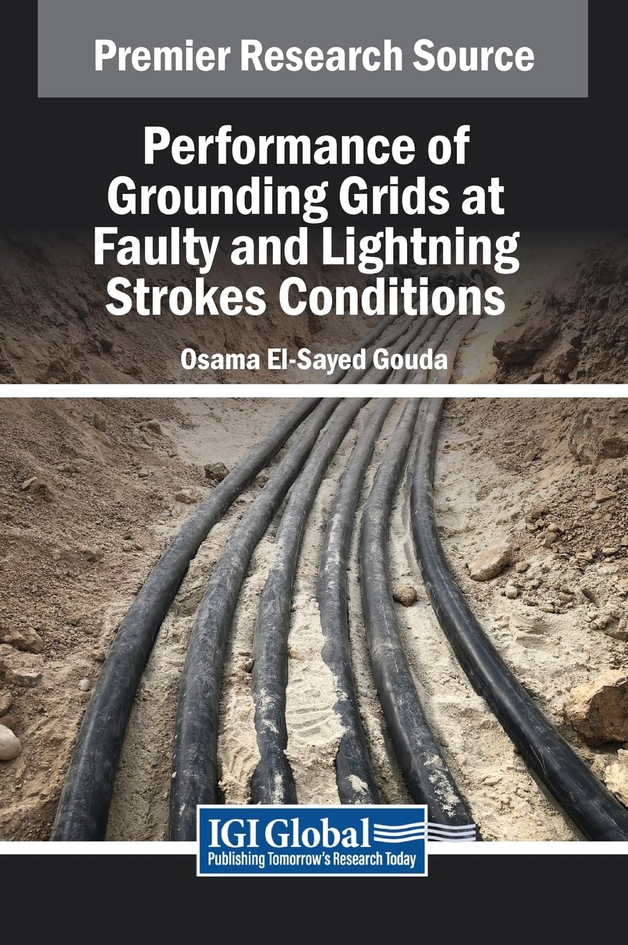 Performance of Grounding Grids at Faulty and Lightning Strokes Conditions