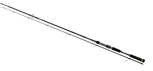 Daiwa Morethan Shad Attack 2,70m 15-50g