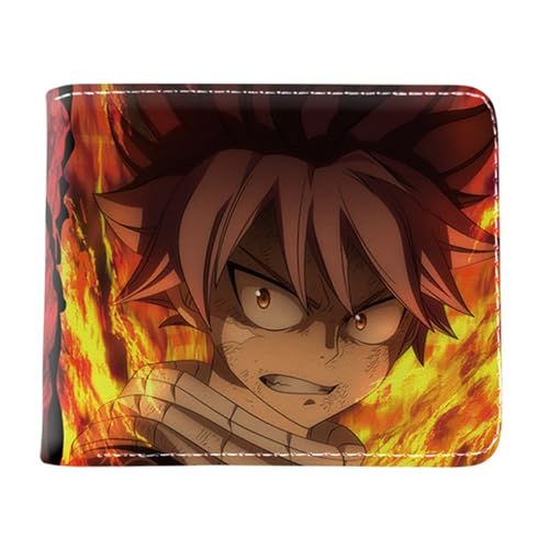 RYNDEX FAI-ry TA-il Geldbörse Anime Mittelgroß, Cartoon-Druck Kleiner Geldbeutel, PU Leder Geldbörse Kreditkartenhalter(Color:Multicolor 9)