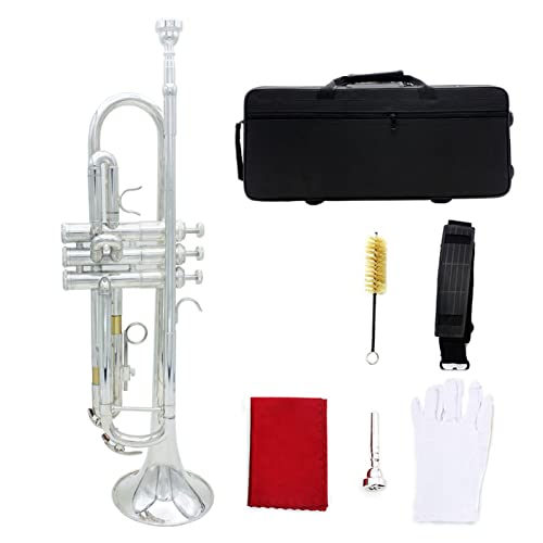 B Flat Gold Trompete Silber Trompete Importiert Messing Trompete Musikinstrument (Color : Silver)