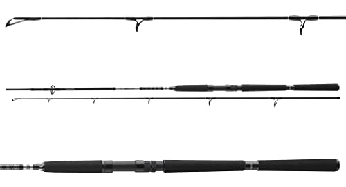 Daiwa BG Pilk 2,10m 40-125g