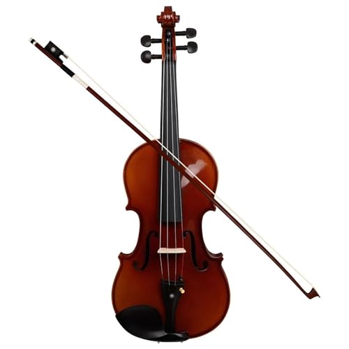 Geige Violine Professionelle Saiteninstrument Violine Set mit Aufbewahrungsbox Fall Fichte Holzplatte Ebenholz Zubehör