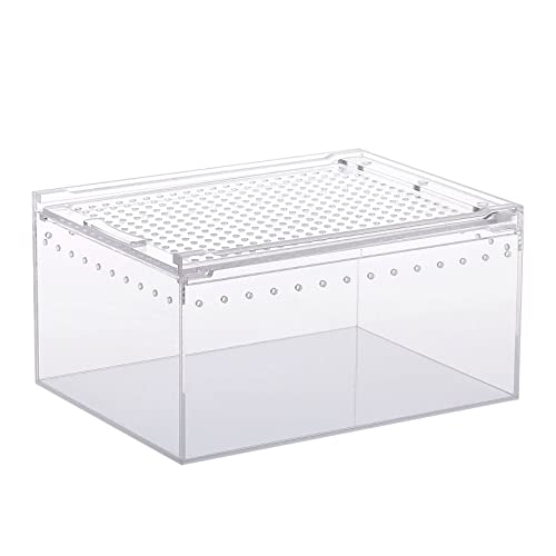 Tankspinnen Schildkröten Eidechsen klar gestaltete Zuchtbox Vivarium Deckel Haustier Produkt Terrarium Substrate für Tank Tank Dekorationen