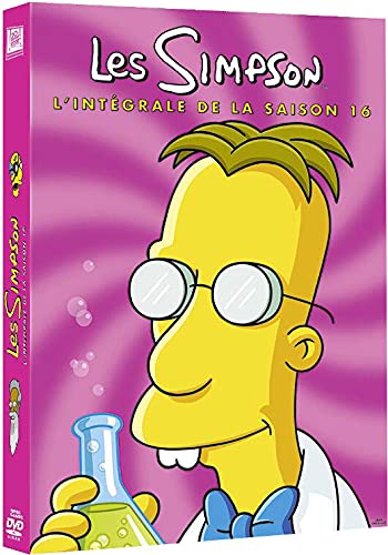 Coffret les simpson, saison 16 [FR Import]