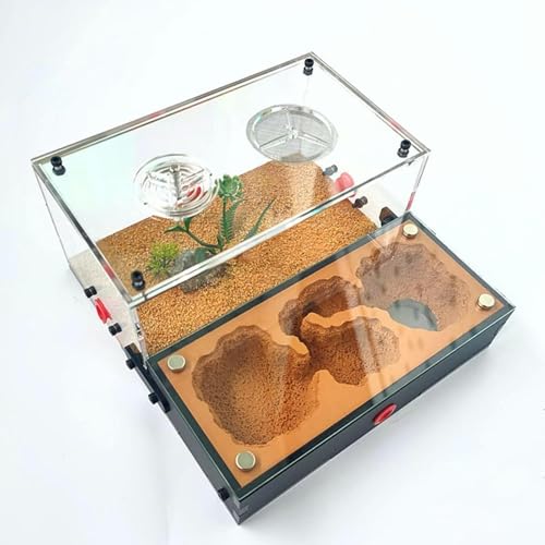 DIY Acryl Ameisenfarm Gips Formicarium Ameisennest Ameisen Haus Villa Insekt Haustier Ameisen Zucht Box Ameisenhaufen Werkstatt Ant Nest Ant Farm (Color : C)-1