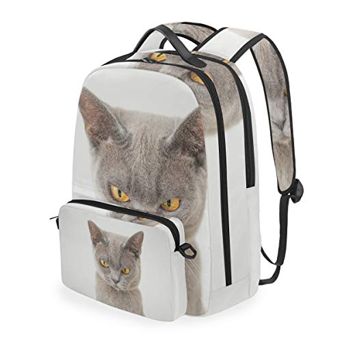 MONTOJ Graue Katze Campus Rucksack mit abnehmbarer Kreuztasche