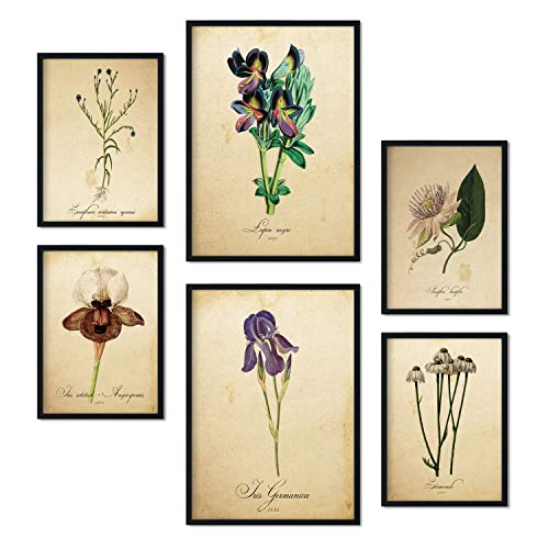 Nacnic-Set von 6 Vintage-Blumen-Poster. Sammlung von Platten mit ästhetischer Collage für Innendekoration. Größen A3 und A4. Rahmenlos