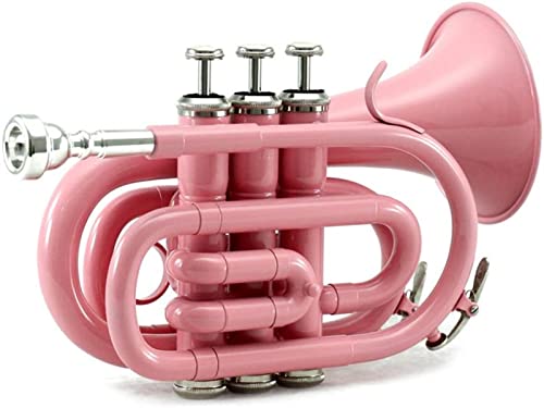 Professionelle Taschen-Trompeten-Ton-flaches BB-Messing-Windinstrument (Color : Pink)