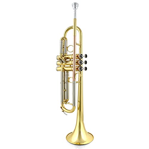 ZENGXUE Phosphorbronze Mundstück Rohr Messing Rohrkörper B Flach Trompete Musikinstrument Standard-Trompetenset