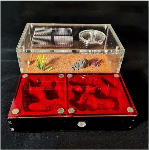 Großes Ameisennest Acryl Ameisenfarm Ameisen Haus Gips Insektenvilla Ameisenhaufen Ant Nest Pet Farmen Kit Formicarium Display Box Wissenschaft Bildungs (Color : A)-1