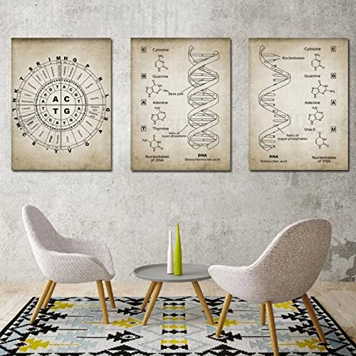 Retro Poster DNA und Rna Genetischer Code Leinwand Bild Wand Bilder Poster Kunstdruck Genetik Biologie Chemie Labor Klassenzimmer Wanddekor Rahmenlos 60×80cm×3pcs