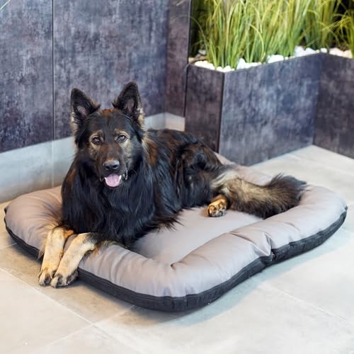 E-dogbed Strapazierfähiges Hundebett aus Kunstleder Hundematratze Ella Hundesofa Hundekissen Hundematratze Hundeliege Tierkissen Farbe und Größe wählbar von M bis XL (M - 90x70 cm, Grau)