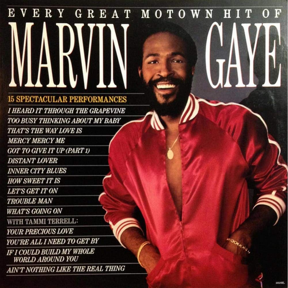 Every Great Motown Hit of Marvin Gaye (Vinyl) [Vinyl LP]